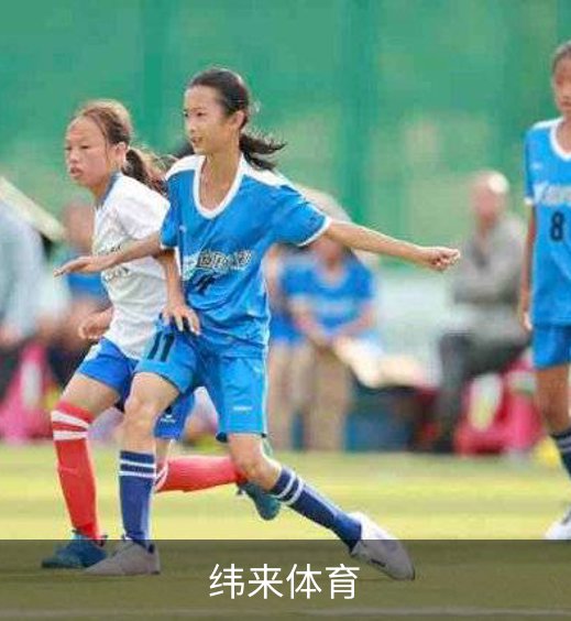 了解纬来体育
